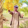 bsha_505