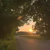 tarjamay