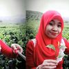 amina.indriyani95