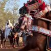 عاشق الخيل
