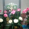 ma.zin230