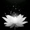 v.thanh.ha32