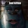 bad_kitten21