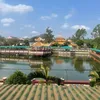 vnphthi6
