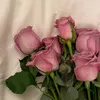 1_sosy9