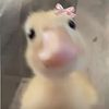 my_.littlepony5