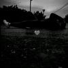 nastwent_56