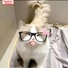 nazwa.aqila20
