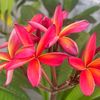 its_kanani