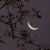 areej.fatima7240