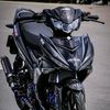 randirandi2051