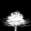 meteorflower54729956
