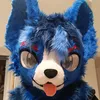 jraxxleroidespipous