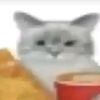 catluvyay