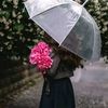 malikwaseem3878