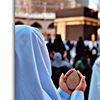 mohiuddin4379