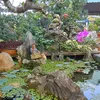 m.ca.minh.thun.n