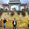 quang_mom95