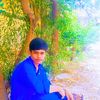 user271216689