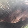 vituongvi93