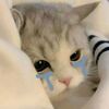 komang_955