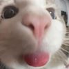 sophie_dxb1