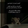 abadiii2030