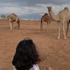 amna62127