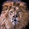 mohamed.houssem88