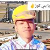 anzir21