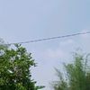 gkduejeneng4638