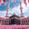 lamiyaislammegla