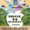 ndiayebusiness00
