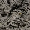 maxytochek69