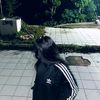 silzey1_