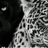 suleymanova_100