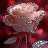 suzon.khan51