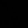 zheevirgo