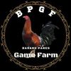 bpgf.rahayu
