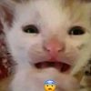 rifzkyyyyy