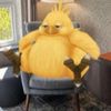 ch0nkychocobo