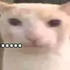 oh.shiet88