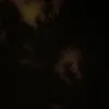 gdjvftg.jdhgdgg