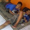 lembu.gindrong