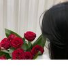 queen48360