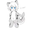 tigershark2009
