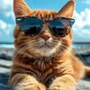 alireza_238