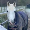 ellie.white52