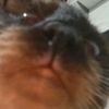 the_real_goober_snoobert