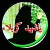 2009_zahr